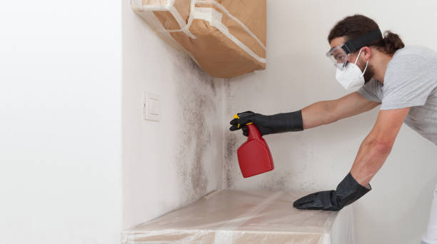 Professional Mold Testing technician working in Powells Point, NC