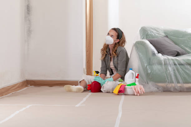 Reliable Mold Testing contractor in Powells Point, NC by WQB Mold Removal